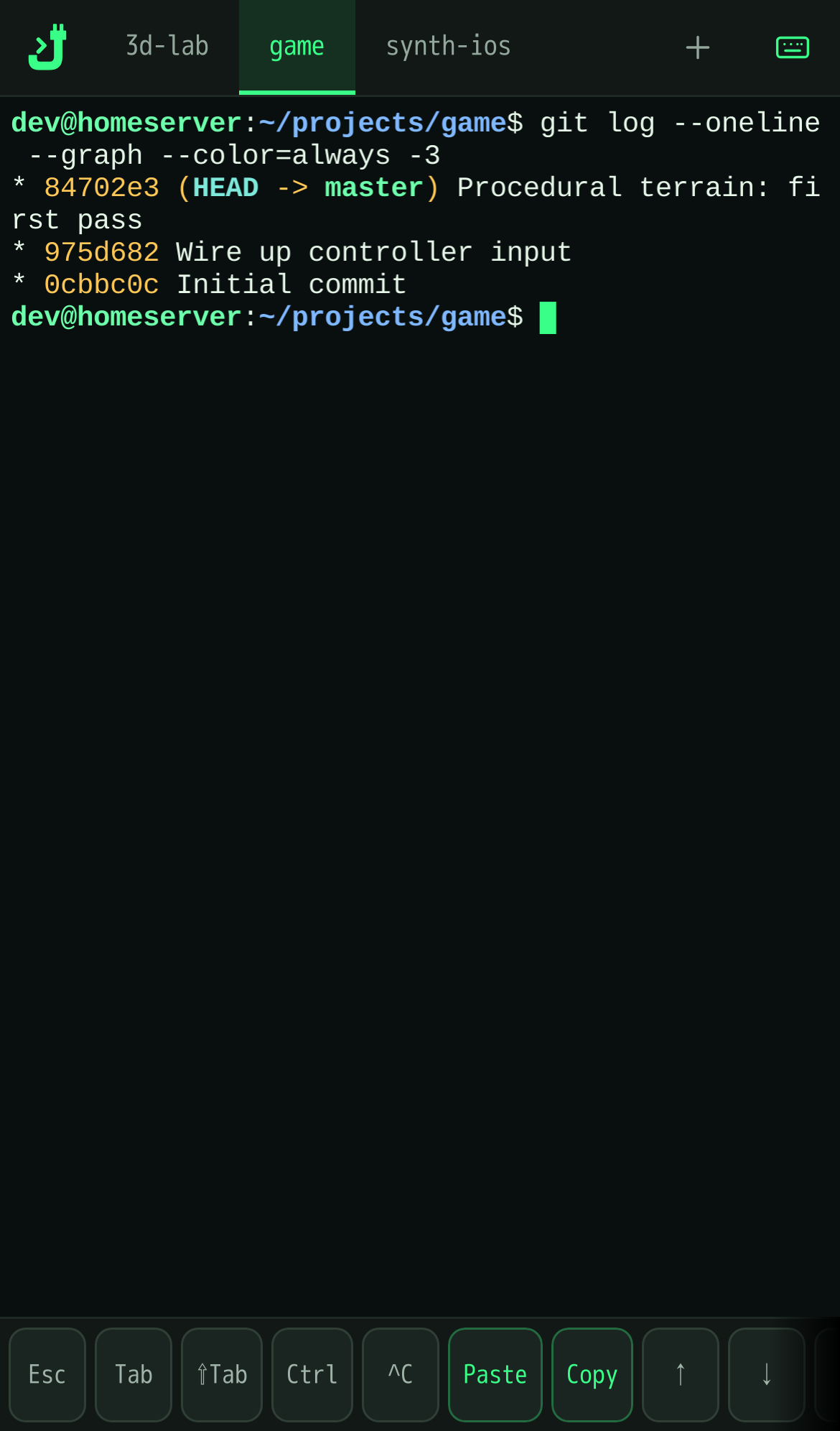 A terminal session on iPhone